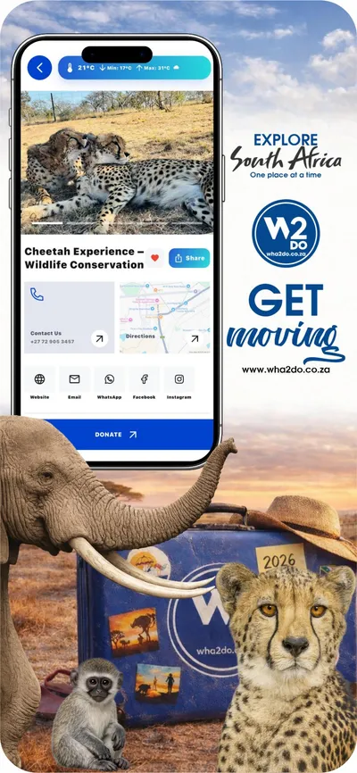 Wha2do App - Cheetah Experience