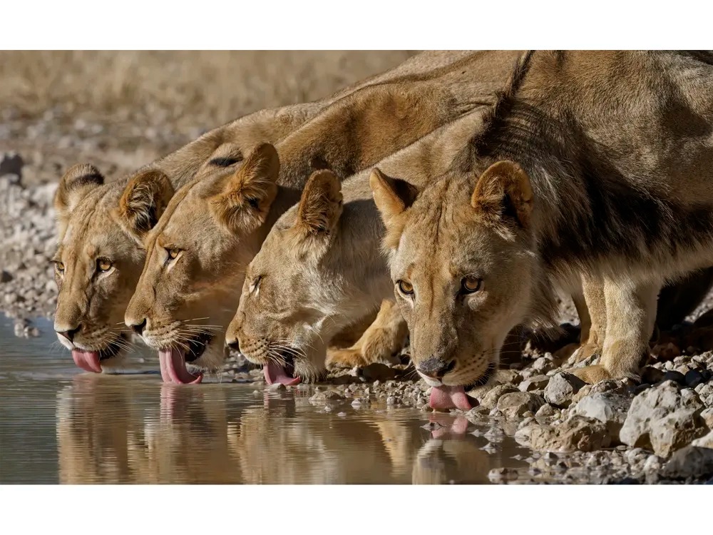 March 2026 - Late Summer - Mild