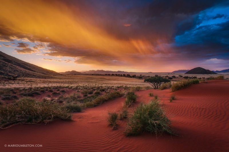 September 2026 - Spring - Wildflowers!